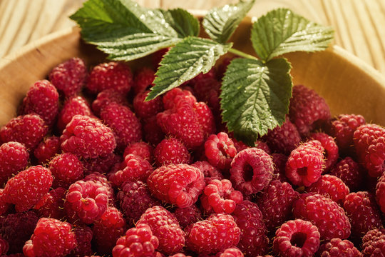 raspberries in a plate,in wooden bowl,basket/bush branch/growing raspberries,raspberries background closeup photo,high resolution product,Delicious first class organic fruit,Raspberry as background