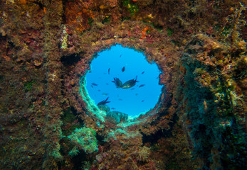 Fenster eines unterwasser Wracks mit Fischen