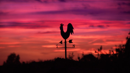 Hahnförmiger Windrichtungsgeber im Sonnenuntergang