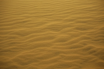Texture sand in the desert