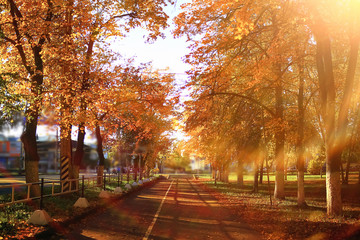 Naklejka premium Słoneczna pogoda w jesiennym parku