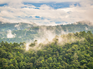 Rainy season with cloudy sky, foggy and green forest landscape.