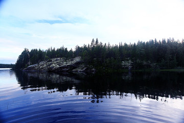landscape coniferous forest water stones