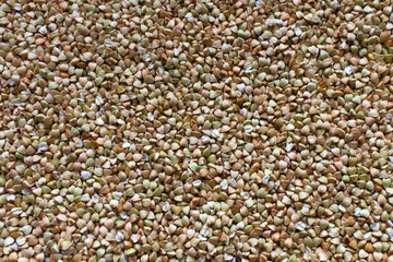 buckwheat grains