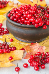   Ripe red berries of a viburnum in a round wooden bowl on an old light table.  Autumn harvest.  The source of natural vitamins. Used in folk medicine.
