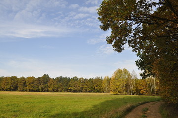 Złota polska jesień