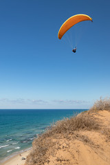 Paraglider above the sea cliff