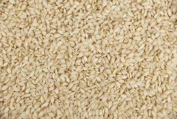 White Arborio Italian rice close up background