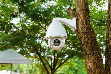 white security cctv camera installed on the branch of tree