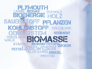Biomasse
