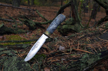Soviet hunting  knife of 1980-th. in the forest near Kiev.
