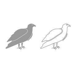 Eagle grey set icon .
