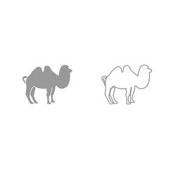 Camel grey set icon .