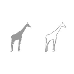 Giraffe grey set icon .