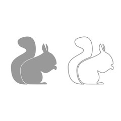 Squirrel grey set icon .