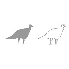 Turkeycock grey set icon .