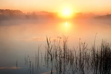 Foto op Plexiglas Mistige zonsopgang boven het meer © andras_csontos