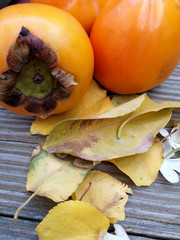 persimmons and dry leaves