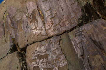 Petroglyphs of Altay. Ancient rock paintings in the Altai Mountains, Russia.