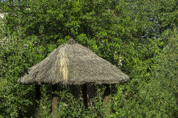 Fototapeta na wymiar A house with a thatched roof against a background of green foliage