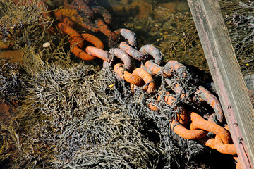 Detail of rusty nautical chain and net
