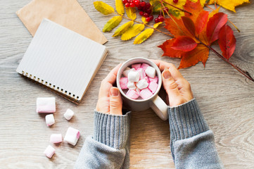 women's hands and a cup of cocoa with marshmallows, sweet dessert and autumn, yellow leaves