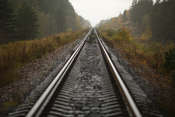 Fototapeta na wymiar Полотно железной дороги 