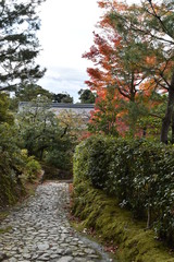Fototapeta na wymiar 紅葉の京都