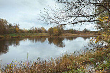 Autumn landscape of the river next to the forest