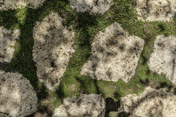 Footpath made of natural white uneven stones buried in soil with green vegetation background
