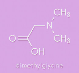 Dimethylglycine (DMG) molecule. Methylated derivative of glycine, used in performance enhancing nutritional supplements. Skeletal formula.