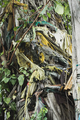 Bangkok Thailand: Wat Nang Chee Chotikaram Temple