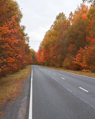 Obraz premium Autumn road 