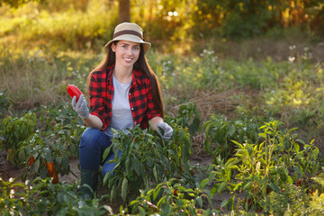 woman gardener with bell pepper