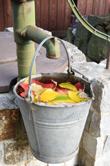 An autumn garden, a well with a hand pump and a bucket of water and colorful leaves