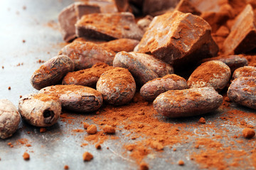 Raw cocoa beans, cocoa powder and chocolate pieces.