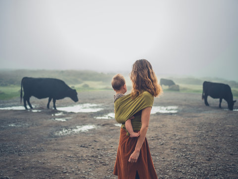 Mother with baby in sling looking at cows