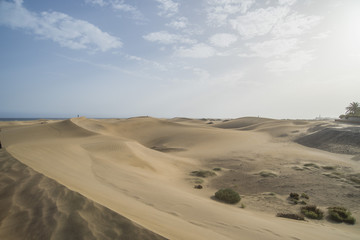 Le Dune di Maspalomas In Gran Canaria