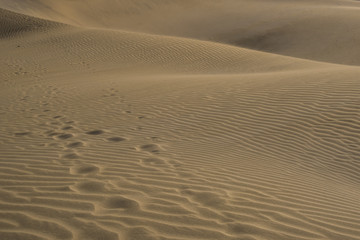 Le Dune di Maspalomas In Gran Canaria