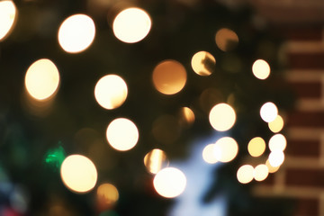 garland lights on fir tree branch blured background