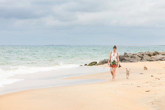 Dogs following tourists, Sri Lanka