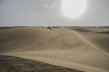 Le Dune di Maspalomas in Gran Canaria