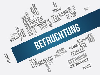 Befruchtung