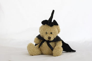 Teddy Bear with Black Hat and Black Wizard Dress, on white background .