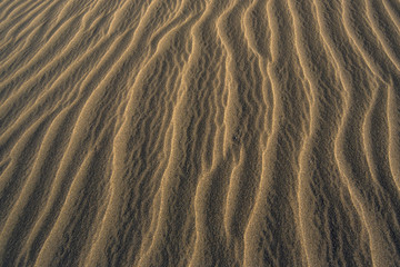 Le Dune di Maspalomas in Gran Canaria