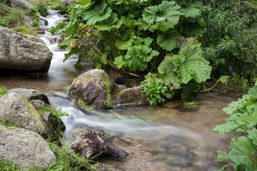 Mountain stream with stones with clear water