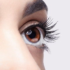 Woman eye make-up