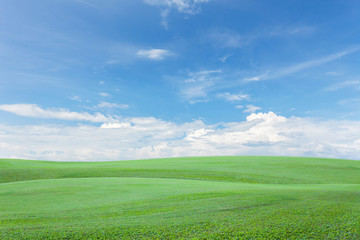 Green grass field with clear blue sky and cloud background.
