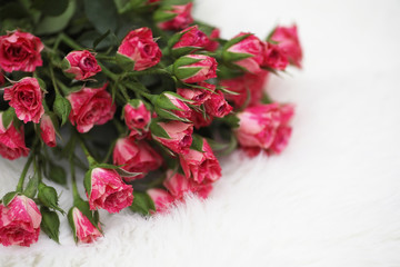 Bouquet of red roses on a white background