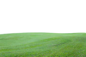 Obraz na płótnie Canvas Green grass field on white background.